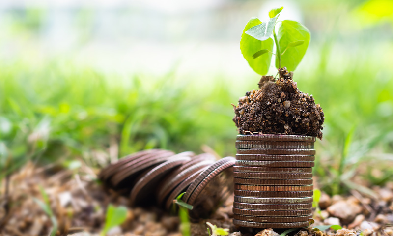 plant growing from money coins benefits of fixed indexed annuities